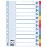 Faneblad karton Esselte A4 12-delt farvet