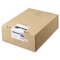 Xerox, Premium NeverTear Synthetic, Light Frost, translucent, mat, smooth, Polyester, transparent, 1