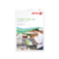 Kopipapir Premium NeverTear A4 Gloss Adhesive 50ark/æsk