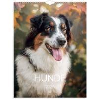 V&aelig;gkalender Hunde 2026