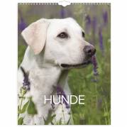V&aelig;gkalender, Mayland Photo, Hund, 295 x394mm &aring;r: 2027, Flerfarvet,, FSC Mix Credit