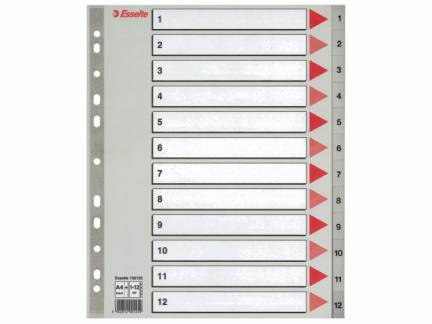 Register Esselte A4 Maxi 1-12 m/forblad plast grå