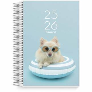 Dagkalender Studie Stor 2i1 m/klap 2025/2026