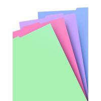 Filofax Registre til Notesbøger A4 Pastel Aftagelige registre i pastelfarver til genopfyldelige Filofax A4-notesbøger.