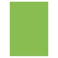 Karton A4 300g 10ark, Lysegrøn Stort udvalg af farvet karton i flotte farver og forskellige kvaliteter.