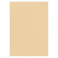 Folia Karton 300g 70x100cm 10 Ark Beige Folia karton, 70x100cm, 300g, 10 arkSyrefri, høj kvalitet og absorberingsevne.Kan males og limes uden problemer