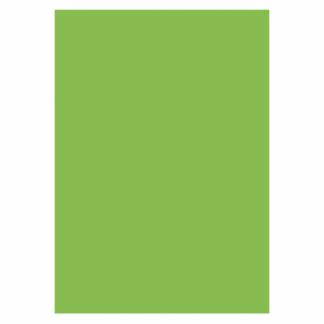 Papir A4 130g 50ark, Lysegrøn Stort udvalg af farvet papir til breve, hobby, dekoration eller udskrifter.