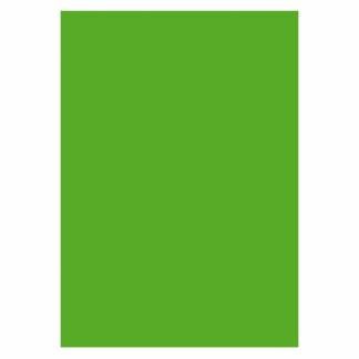 Papir A4 130g 50ark, Græsgrøn Stort udvalg af farvet papir til breve, hobby, dekoration eller udskrifter.