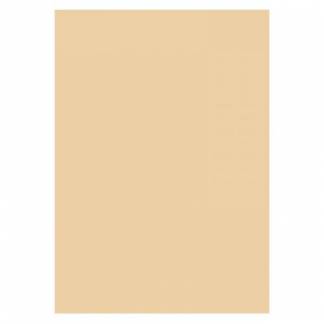 Folia Karton 300g 70x100cm 10 Ark Beige Folia karton, 70x100cm, 300g, 10 arkSyrefri, høj kvalitet og absorberingsevne.Kan males og limes uden problemer