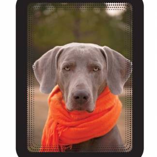 Magneto Ramme Selvklæbende Flytbar A6x2, Sort A6 selvklæbende flytbar ramme. Enkel og synlig måde at dele information. Den funktionelle magnetiske åbning gør at dokumenter kan udskiftes på et øjeblik..