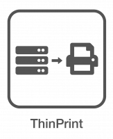 Print management ThinPrint Client