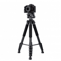 ROLLEI Compact Traveler StarS4