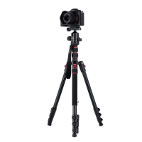 ROLLEI Compact Traveler No. 2