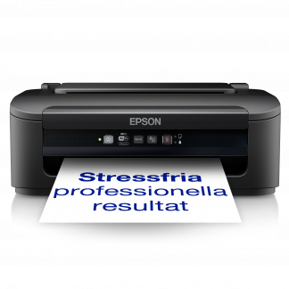EPSON WorkForce WF-2110W