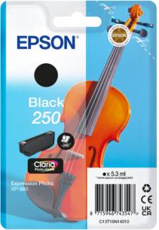 EPSON Singlepack Black 250 ink No Tag Single