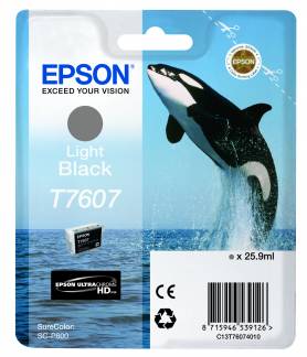 T76074010 Light Black Ink Cartridge