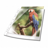 Plastlomme til ringbind premium med farvet kant a4 glasklar pp pose med 10 Transparent, hullet plastlomme af høj kvalitet. Glasklar med forstærket universalhul