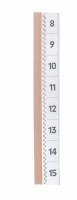Indeksfaner tabfix&reg; 200x10 mm selvkl&aelig;bende Til individuel m&aelig;rkning og opdeling af kort, kataloger, ringbind og notesb&oslash;ger. Kan sk&aelig;res til i &oslash;nsket bredde, strimmelbredde 200 mm, med blanke indstik, A-Z, 0-31, jan.-dec., trykt lodret og vandret. Faneh&oslash;jde: