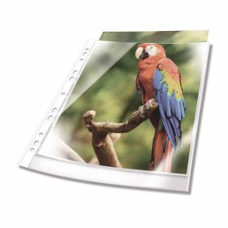 Plastlomme til ringbind premium med farvet kant a4 glasklar pp pose med 10 Transparent, hullet plastlomme af h&oslash;j kvalitet. Glasklar med forst&aelig;rket universalhul