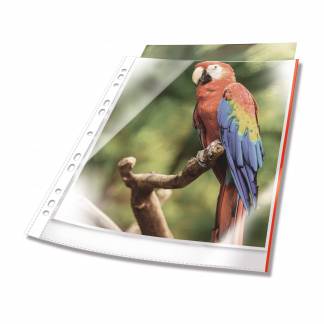 Plastlomme til ringbind premium med farvet kant a4 glasklar pp pose med 25 Transparent, hullet plastlomme af h&oslash;j kvalitet. Glasklar med forst&aelig;rket universalhul