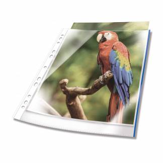 Plastlomme til ringbind premium med farvet kant a4 glasklar pp pose med 10 Transparent, hullet plastlomme af h&oslash;j kvalitet. Glasklar med forst&aelig;rket universalhul