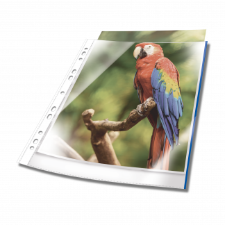 Plastlomme til ringbind premium med farvet kant a4 glasklar pp pose med 25 Transparent, hullet plastlomme af høj kvalitet. Glasklar med forstærket universalhul