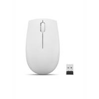  300 Compact Wireless Mouse