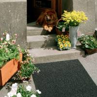 ASTRO TURF 90x55cm grafit.