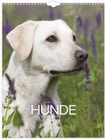 V&aelig;gkalender Hunde 2027