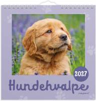 V&aelig;gkalender mini Hundehvalpe 2027