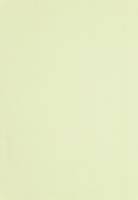 A4 110 g Brevpapir 50-pakke Lime