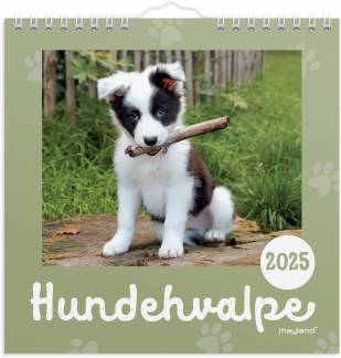 Vægkalender mini Hundehvalpe 2025