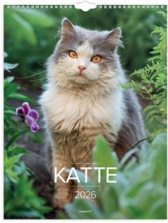 V&aelig;gkalender Katte 2026