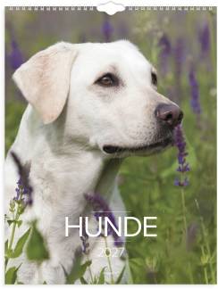 V&aelig;gkalender Hunde 2027