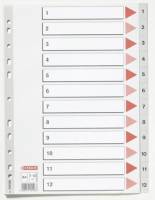 Plastregister Esselte A4 1-12 gr&aring; m/kartonforblad 100106