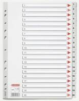 Plastregister Esselte A4 1-20 gr&aring; m/kartonforblad