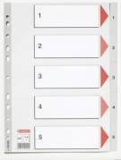 Plastregister Esselte A4 1-5 gr&aring; m/kartonforblad