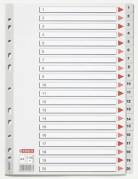 Plastregister Esselte A4 1-20 gr&aring; m/kartonforblad