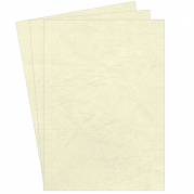 Kartonforside til indbinding Fellowes A4 250g ivory Delta leatherboard 100stk/pak