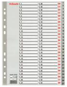 Register Esselte A4 1-54 i plast m/forblad grå
