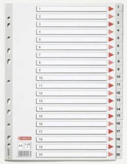 Plastregister Esselte A4 1-20 gr&aring; m/kartonforblad