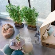 Bambu Høj