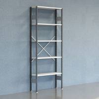 Lagerreol V06 Startsektion 2500x300 mm &Aring;ben / 7035