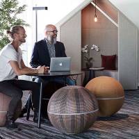 Siddebold Office Ballz, Stor Prisgr. 4