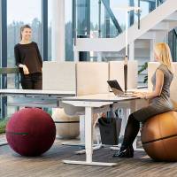 Siddebold Office Ballz, Stor Prisgr. 1