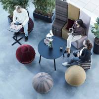 Siddebold Office Ballz, Lille Prisgr. 2