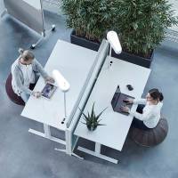 Siddebold Office Ballz, Lille Prisgr. 1