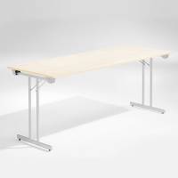 Bord Dinner, Birk 1800x800 mm, Alugr&aring;t understel