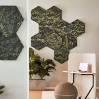 Honey Lydabsorbent 6-pk Moss