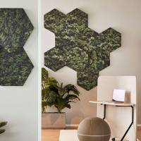 Honey Lydabsorbent 6-pk Moss